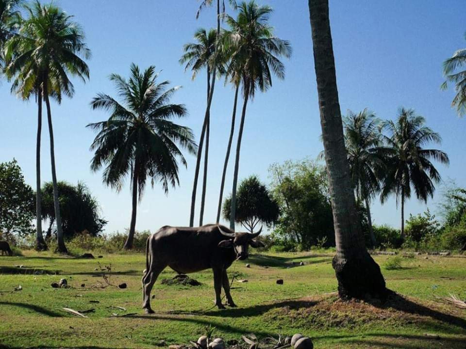 Dugong Koh Sukorn Hotel Szukon-sziget Kültér fotó